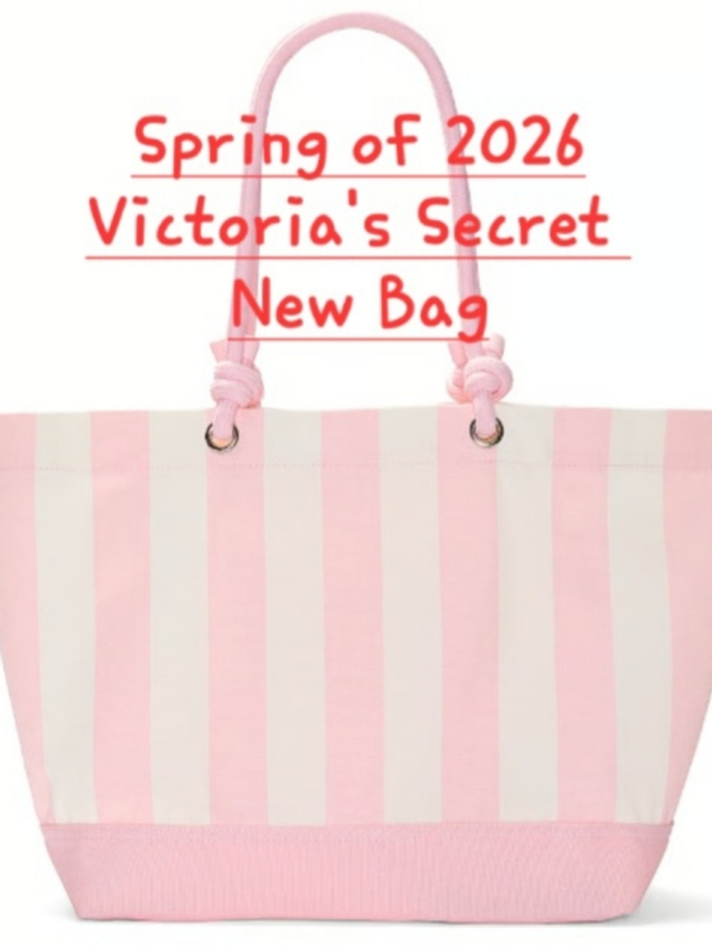 Victoria's Secret Spring '26 Signature Heritage Stripe Rope Handle Tote Bag NWT